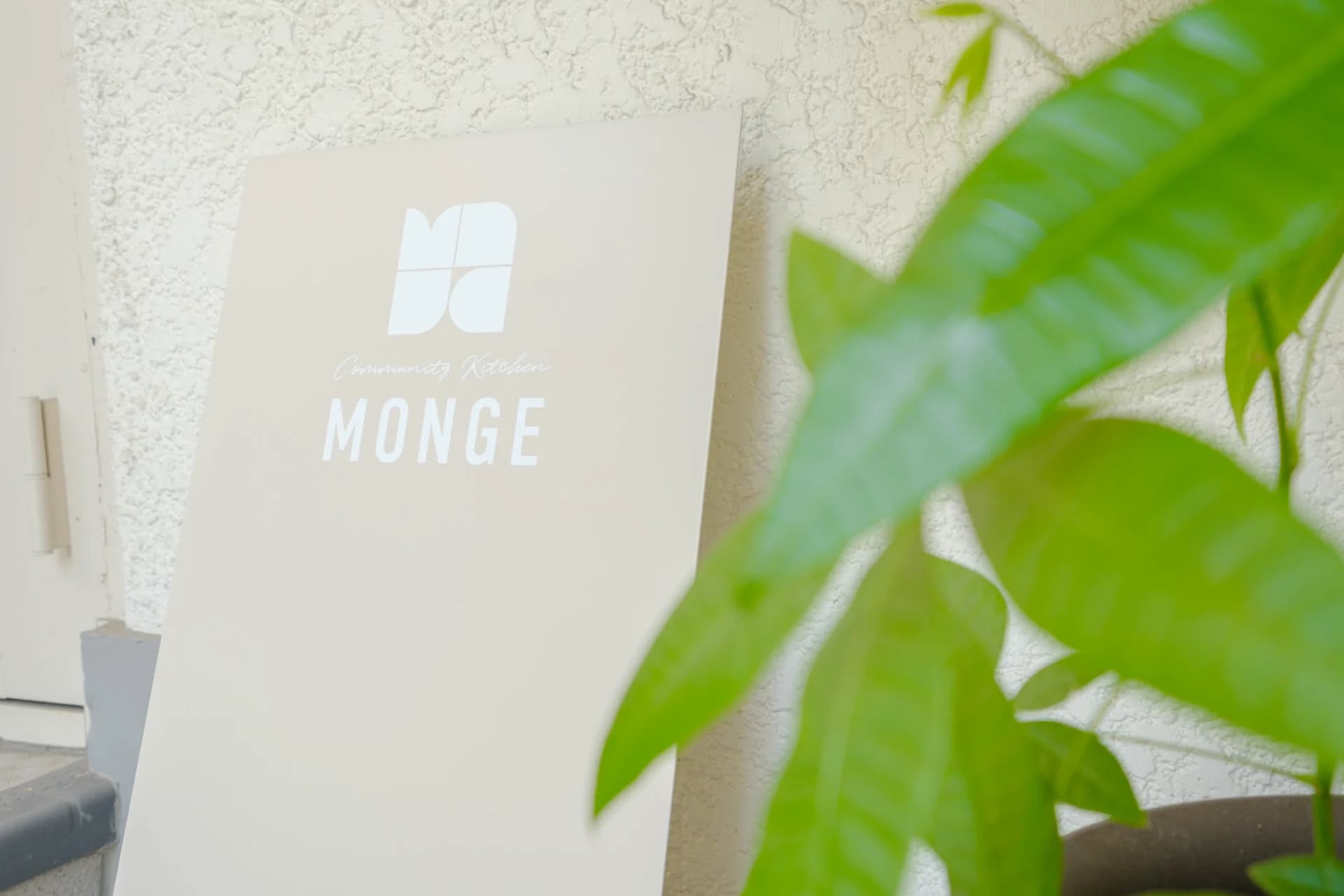 MONGE background 5